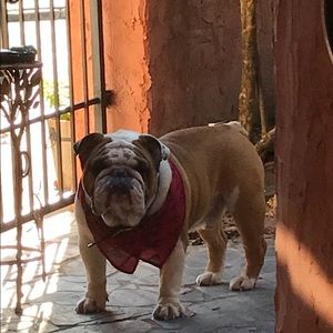 Meet your Posher, Jack